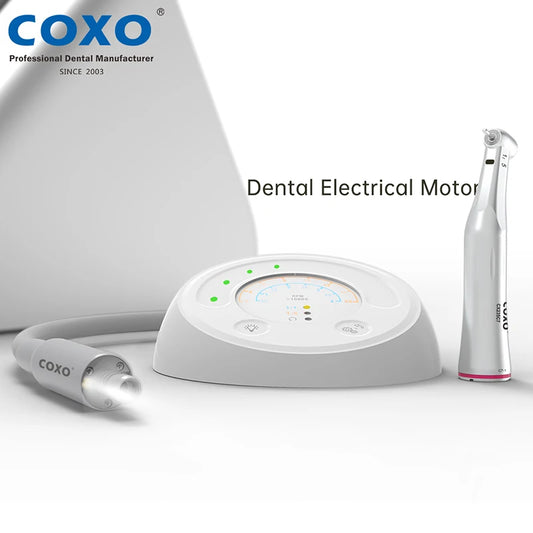 Motor eléctrico dental sin escobillas COXO C-Puma Mini Instrumento endodóntico 1:1 Motor sin escobillas 1:5 Equipo de pulido y recorte
