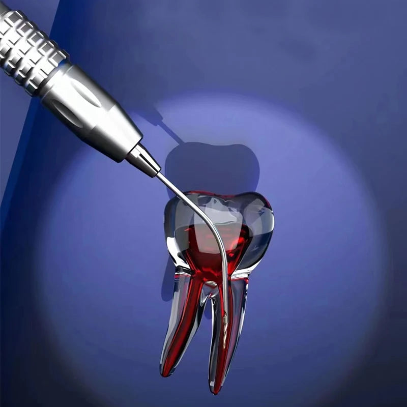 COXO C-FR1 Extractor de Limas de Endodoncia Aguja de Nitinol para Extracción de Relleno Punta de Trabajo Removedor de Níquel-Titanio